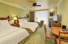 Двухместная студия