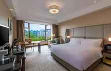 Двухместный номер Luxury с видом на город