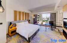 Двухместный номер Deluxe с видом на город