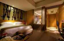 Двухместный номер Premier