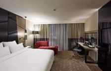 Двухместный номер Deluxe с видом на город