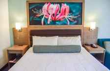 Одноместный номер Standard