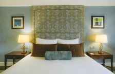 Двухместный номер Executive с балконом