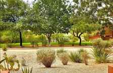 Одноместный номер Standard с видом на горы