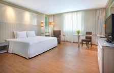 Двухместный номер Premier с видом на город