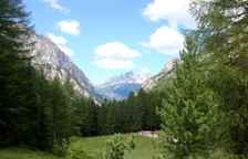 Одноместный номер Standard с видом на горы