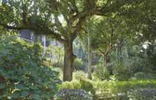 Одноместный люкс