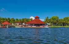 Одноместный номер Standard с видом на сад