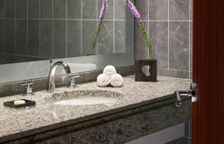 Одноместный люкс Executive c 1 комнатой с видом на город