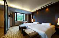 Двухместный люкс Regency Executive