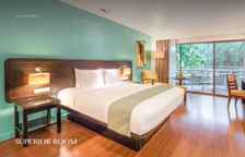 Двухместный номер Superior с видом на сад