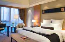 Шестиместный номер Executive