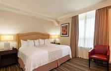 Одноместный номер Standard с видом на город