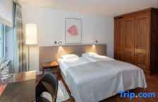 Одноместный номер Comfort