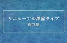 Двухместный номер Standard с видом на реку