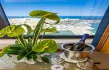 Одноместный люкс с видом на море