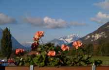 Двухместный номер Classic