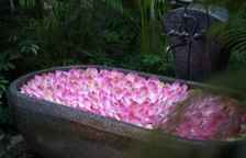 Двухместная вилла Royal