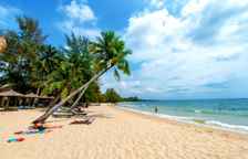 Одноместный номер Superior с видом на сад