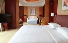 Двухместный номер Grand Tower Premier