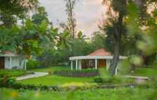 Двухместный коттедж Premium с видом на сад