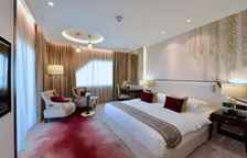 Одноместный номер Deluxe