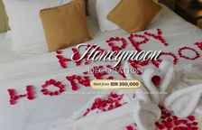 Одноместный люкс