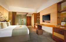 Двухместный номер Premier