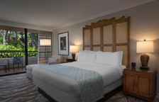 Двухместный люкс c 1 комнатой с балконом и с видом на сад