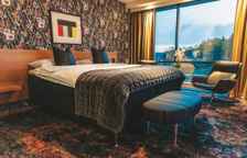 Номер Deluxe с видом на парк