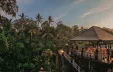 Одноместный номер Deluxe