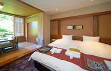 Двухместный номер Superior