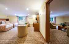 Номер Standard Мансарда