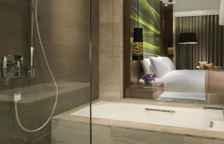 Двухместный номер Deluxe с видом на город