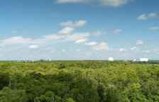 Четырёхместный номер Standard