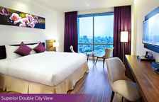 Двухместный номер Superior с видом на город