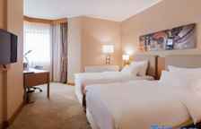 Двухместный номер Deluxe с видом на город