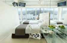 Двухместный номер Premier