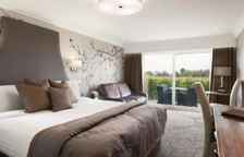 Одноместный семейный номер Standard