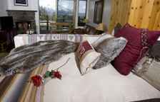 Двухместная студия