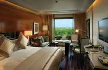 Одноместный номер Premier