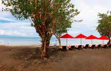 Одноместный семейный люкс с 2 комнатами