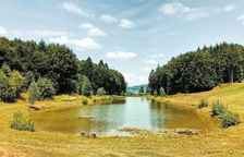 Двухместный номер Standard