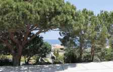 Одноместный номер Standard Цокольный этаж