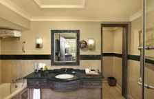 Одноместный номер Deluxe с видом на сад