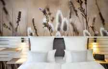 Двухместный полулюкс