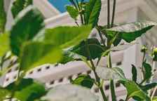 Одноместный люкс