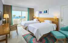 Двухместный номер в лофте Premium с балконом и с видом на море