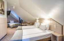 Трёхместный номер Standard