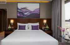 Номер Premiere Connecting